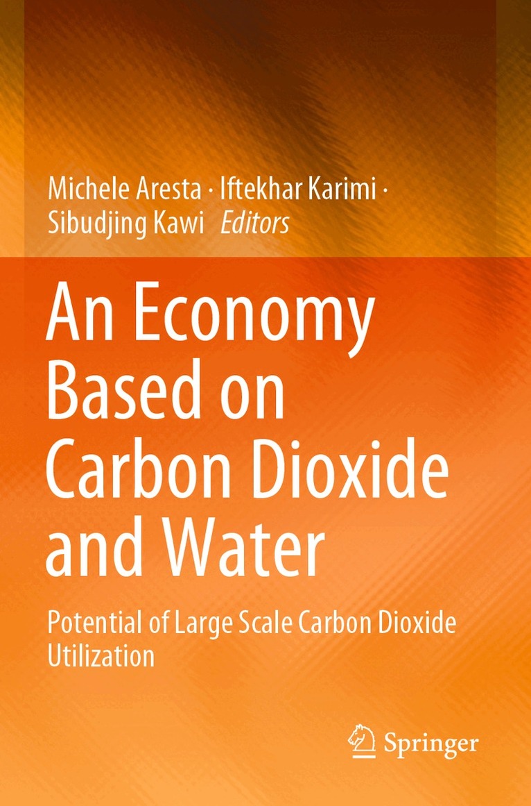 Michele Aresta, Iftekhar Karimi, Sibudjing Kawi - Economy Based on Carbon Dioxide and Water, Häftad