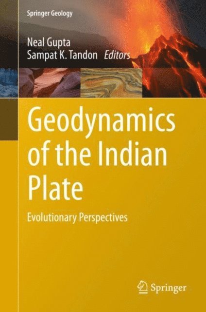Sampat K. Tandon, Neal Gupta - Geodynamics of the Indian Plate, E-bok