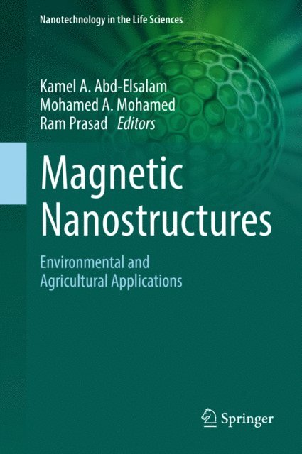 Ram Prasad, Mohamed A. Mohamed, Kamel A. Abd-Elsalam - Magnetic Nanostructures, E-bok