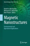 Magnetic Nanostructures 