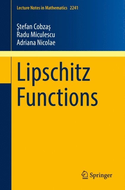 Adriana Nicolae, Radu Miculescu, Stefan Cobzas - Lipschitz Functions, E-bok