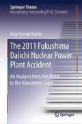 The 2011 Fukushima Daiichi Nuclear Power Plant Accident