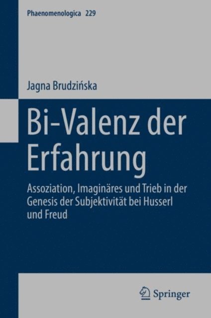 Jagna Brudzinska - Bi-Valenz der Erfahrung, E-bok