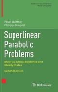 Superlinear Parabolic Problems