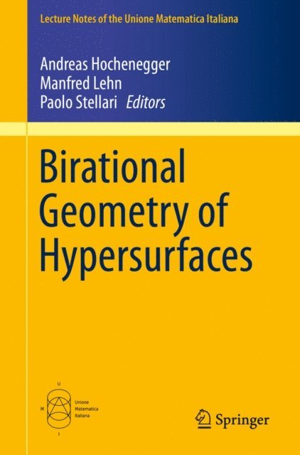 Paolo Stellari, Manfred Lehn, Andreas Hochenegger - Birational Geometry of Hypersurfaces, E-bok
