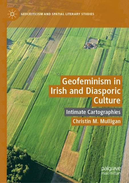 Christin M. Mulligan - Geofeminism in Irish and Diasporic Culture, E-bok