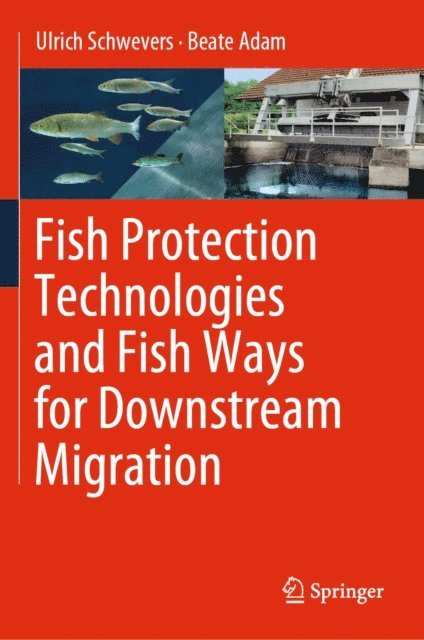 Beate Adam, Ulrich Schwevers - Fish Protection Technologies and Fish Ways for Downstream Migration, E-bok