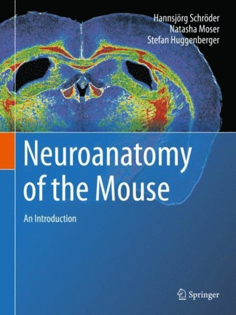 Stefan Huggenberger, Natasha Moser, Hannsjorg Schroder - Neuroanatomy of the Mouse, E-bok. Tillgänglighet: Lägg i varukorg