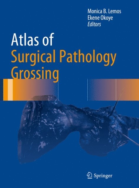 Ekene Okoye, Monica B. Lemos - Atlas of Surgical Pathology Grossing, E-bok