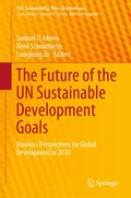 Future of the UN Sustainable Development Goals
