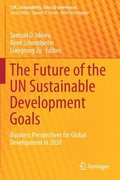 Future of the UN Sustainable Development Goals