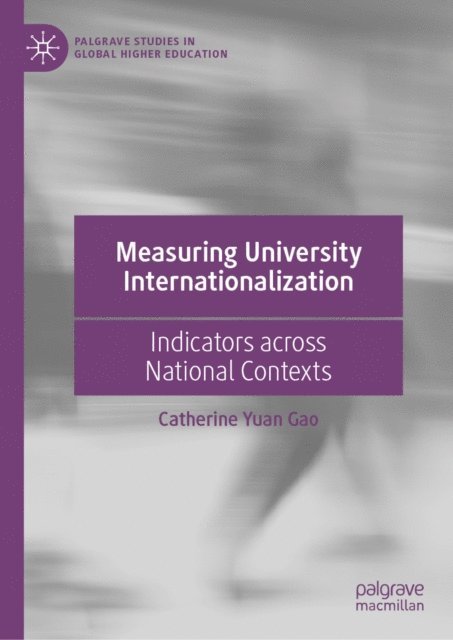 Catherine Yuan Gao - Measuring University Internationalization, E-bok
