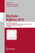 Big Data  BigData 2019