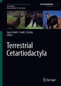 Terrestrial Cetartiodactyla