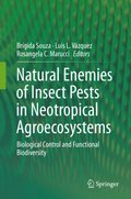 Natural Enemies of Insect Pests in Neotropical Agroecosystems