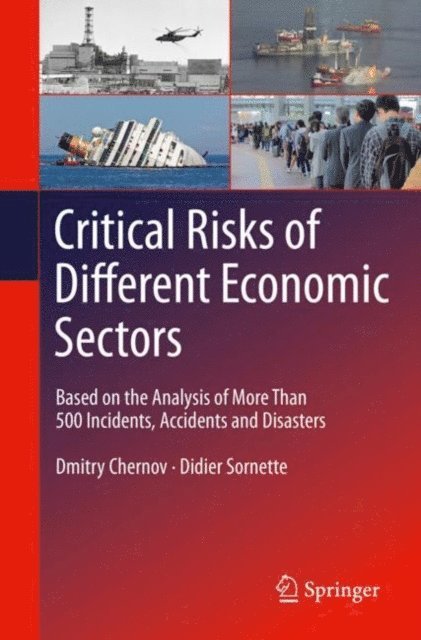 Didier Sornette, Dmitry Chernov - Critical Risks of Different Economic Sectors, E-bok