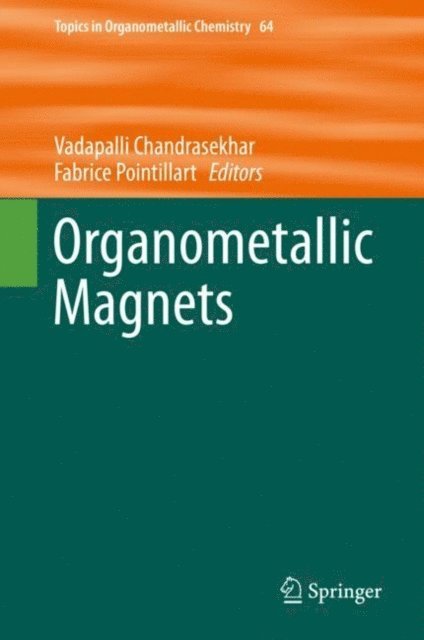 Fabrice Pointillart, Vadapalli Chandrasekhar - Organometallic Magnets, E-bok