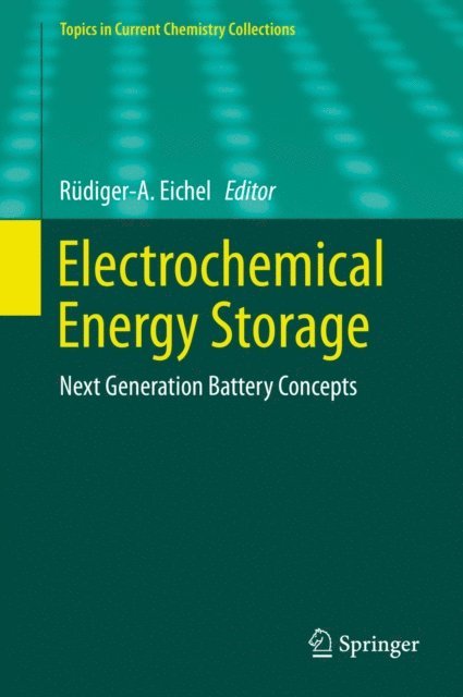 Rudiger-A. Eichel - Electrochemical Energy Storage, E-bok