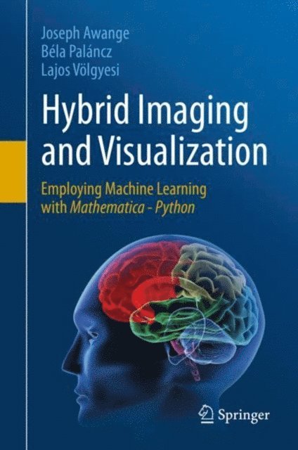 Lajos Volgyesi, Bela Palancz, Joseph Awange - Hybrid Imaging and Visualization, E-bok