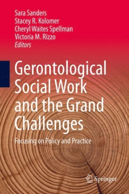 Victoria M. Rizzo, Cheryl Waites Spellman, Stacey R. Kolomer, Sara Sanders - Gerontological Social Work and the Grand Challenges, E-bok