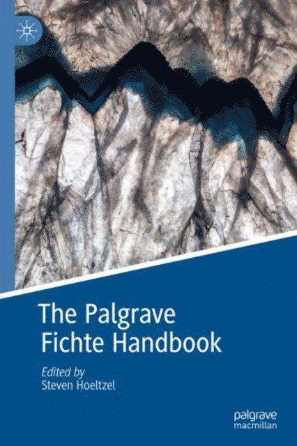 Steven Hoeltzel - Palgrave Fichte Handbook, E-bok
