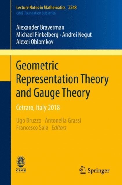 Alexei Oblomkov, Andrei Negut, Michael Finkelberg, Alexander Braverman, Francesco Sala, Antonella Grassi, Ugo Bruzzo - Geometric Representation Theory and Gauge Theory, E-bok