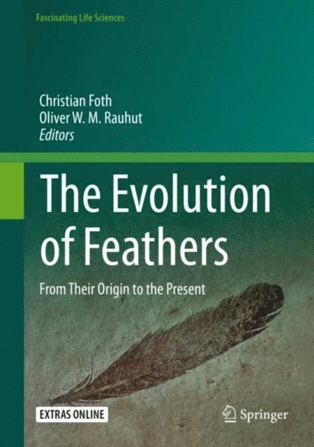 Oliver W. M. Rauhut, Christian Foth - Evolution of Feathers, E-bok