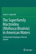 Superfamily Mactroidea (Mollusca:Bivalvia) in American Waters