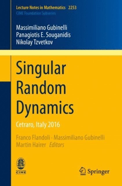 Nikolay Tzvetkov, Panagiotis E. Souganidis, Massimiliano Gubinelli, Martin Hairer, Massimiliano Gubinelli, Franco Flandoli - Singular Random Dynamics, E-bok