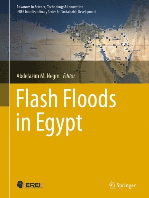 Abdelazim M. Negm - Flash Floods in Egypt, E-bok