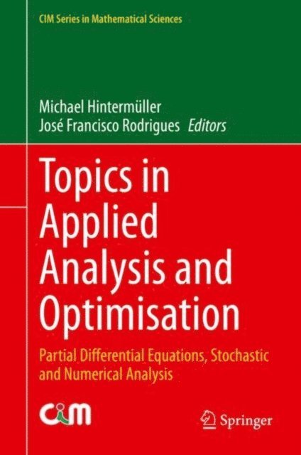 Jose Francisco Rodrigues, Michael Hintermuller - Topics in Applied Analysis and Optimisation, E-bok