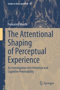 Attentional Shaping of Perceptual Experience