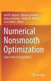 Numerical Nonsmooth Optimization