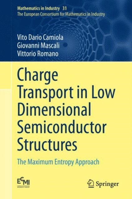 Vittorio Romano, Giovanni Mascali, Vito Dario Camiola - Charge Transport in Low Dimensional Semiconductor Structures, E-bok