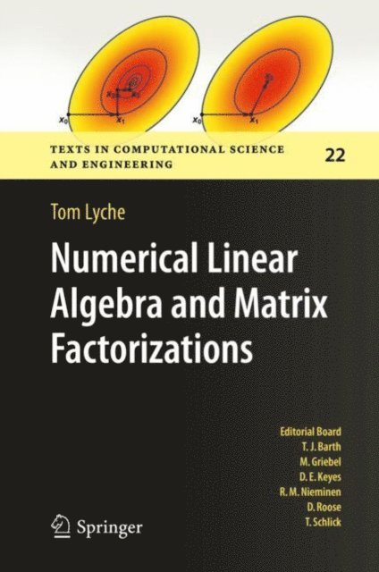 Tom Lyche - Numerical Linear Algebra and Matrix Factorizations, E-bok