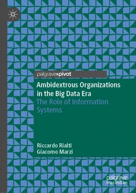 Giacomo Marzi, Riccardo Rialti - Ambidextrous Organizations in the Big Data Era, E-bok