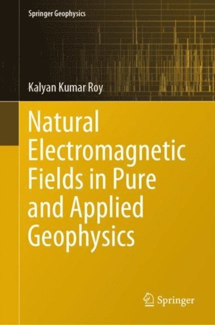 Kalyan Kumar Roy - Natural Electromagnetic Fields in Pure and Applied Geophysics, E-bok