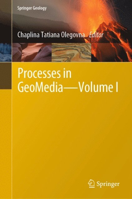 Chaplina Tatiana Olegovna - Processes in GeoMedia-Volume I, E-bok