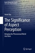 Significance of Aspect Perception