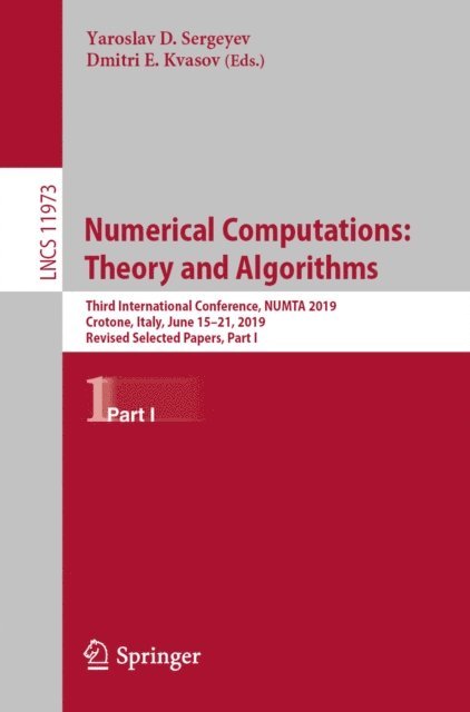 Dmitri E. Kvasov, Yaroslav D. Sergeyev - Numerical Computations: Theory and Algorithms, E-bok
