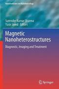 Magnetic Nanoheterostructures