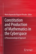 Constitution and Production of Mathematics in the Cyberspace