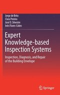 Expert Knowledge-based Inspection Systems