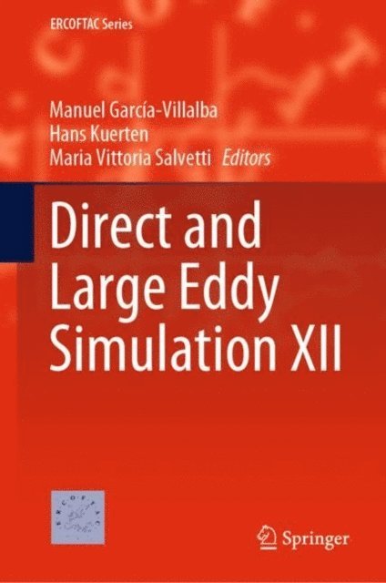 Maria Vittoria Salvetti, Hans Kuerten, Manuel Garcia-Villalba - Direct and Large Eddy Simulation XII, E-bok
