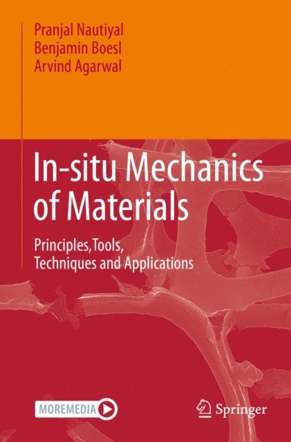 Arvind Agarwal, Benjamin Boesl, Pranjal Nautiyal - In-situ Mechanics of Materials, E-bok