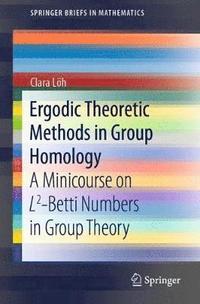 Ergodic Theoretic Methods in Group Homology