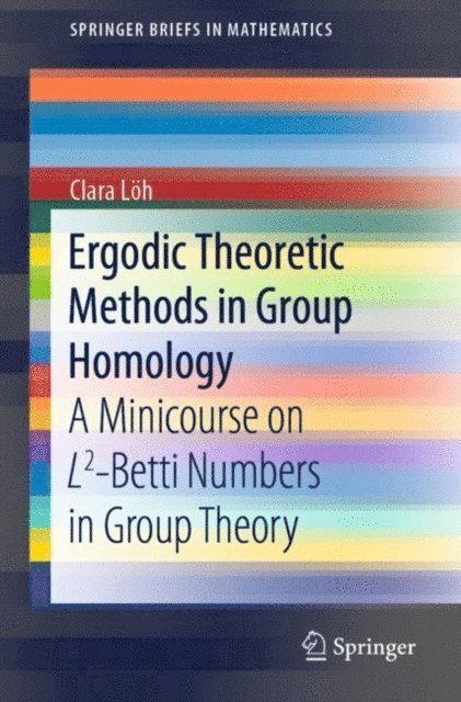 Clara Loh - Ergodic Theoretic Methods in Group Homology, E-bok
