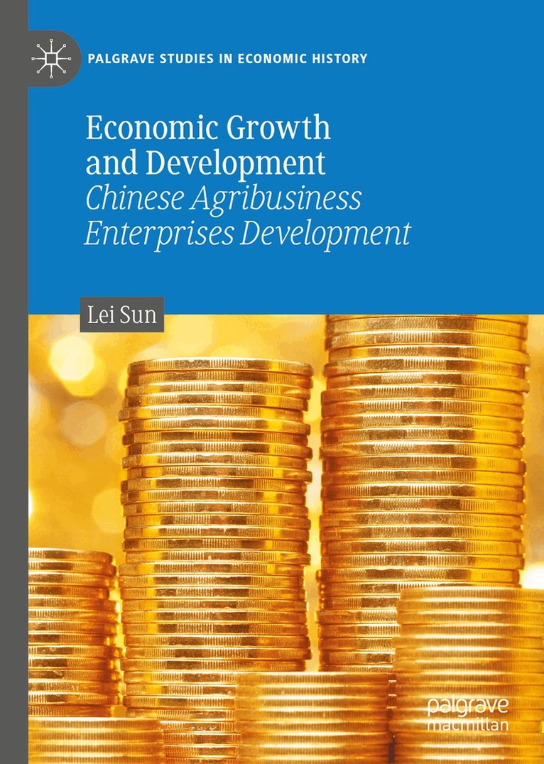 Lei Sun - Economic Growth and Development, Inbunden