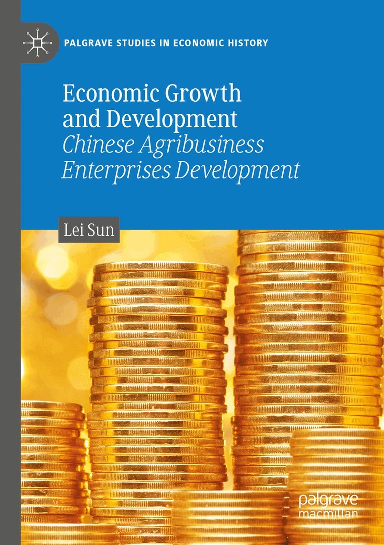 Lei Sun - Economic Growth and Development, Häftad