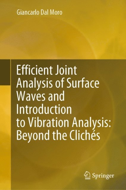 Giancarlo Dal Moro - Efficient Joint Analysis of Surface Waves and Introduction to Vibration Analysis: Beyond the Cliches, E-bok. Tillgänglighet: Lägg i varukorg